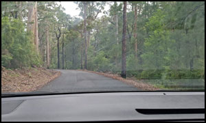 Beedelup Falls