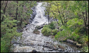 Beedelup Falls