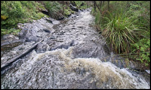 Beedelup Falls