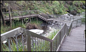 Beedelup Falls