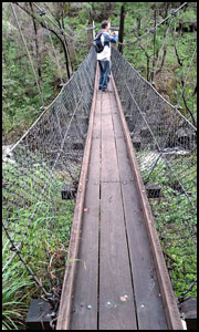 Beedelup Falls