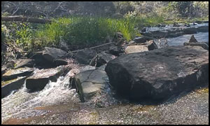 Stinton Cascades