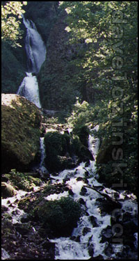 Oregon Wahkeenah Falls!